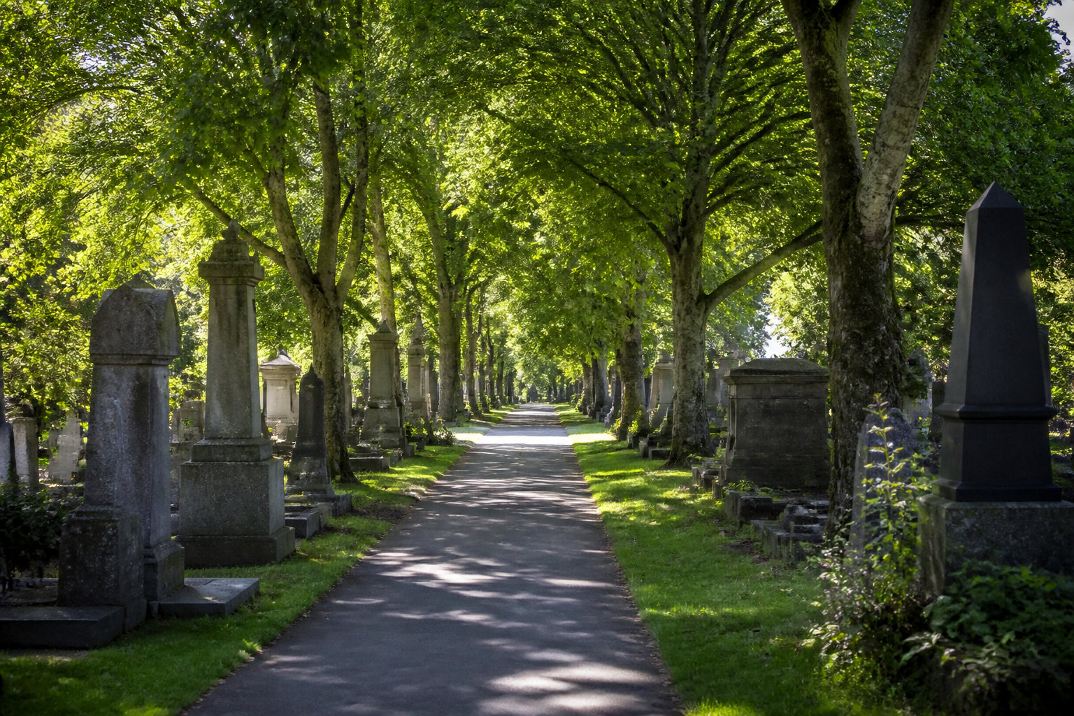 Comprendre les enjeux de l'exhumation et du transfert de corps