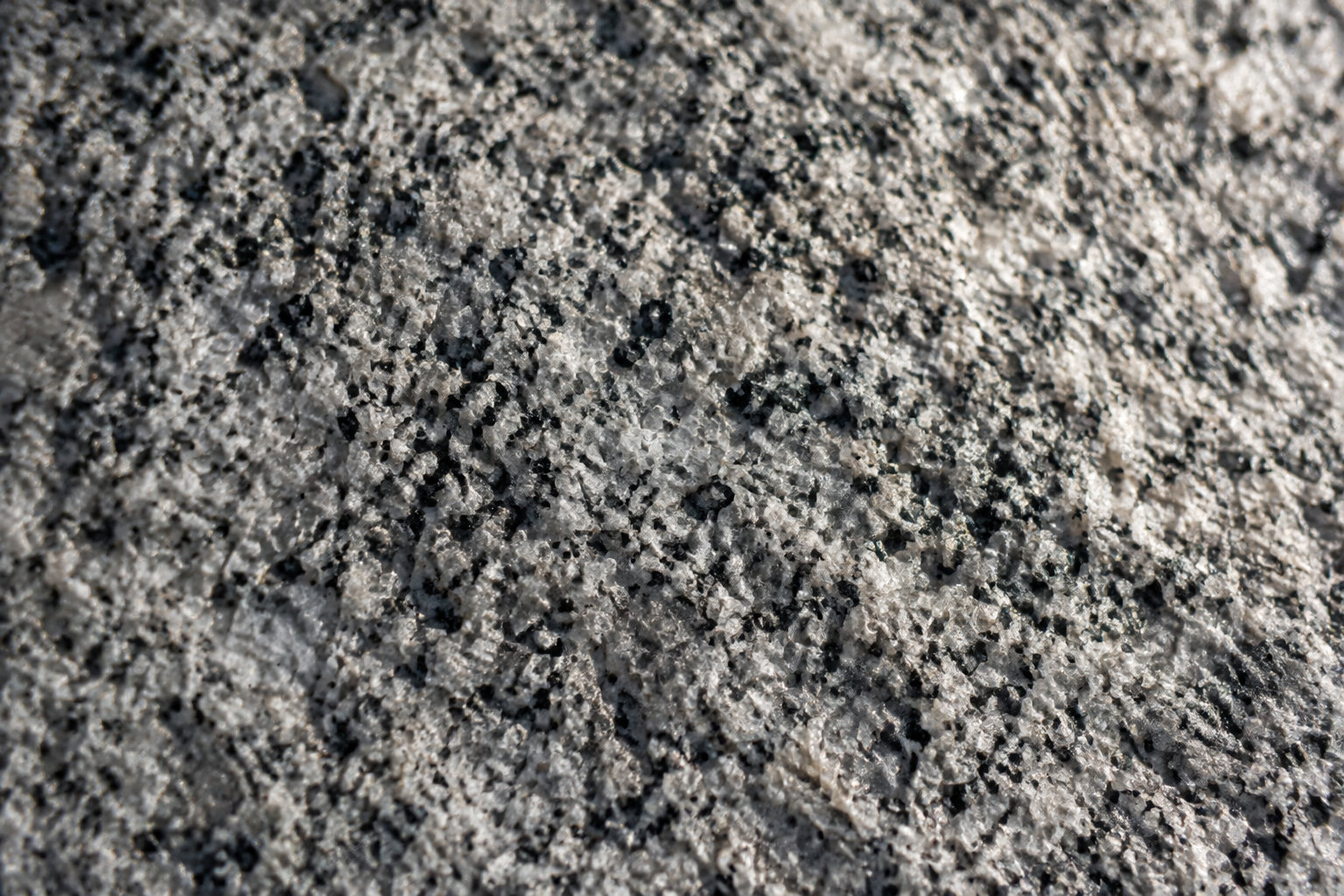 Gros plan sur une surface rocheuse grise, granuleuse et mouchetée de noir.